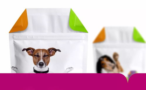 寵物食品包裝設計 融合美學與功能，打造暢銷爆款